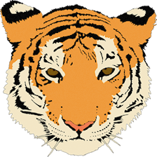 Tuscany Heights Elementary School