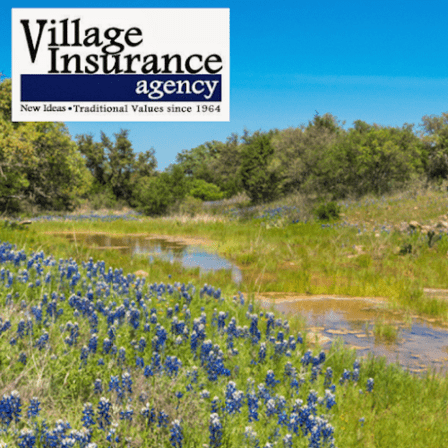 Village Insurance