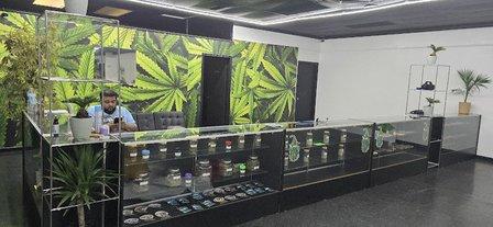 Wizxotics Cannabis Dispensary