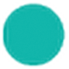 Steward Risk, LLC