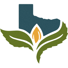 Texas Original | San Antonio