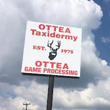 Ottea Game Processing