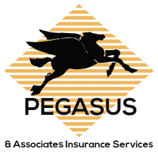 Pegasus Insurance Group