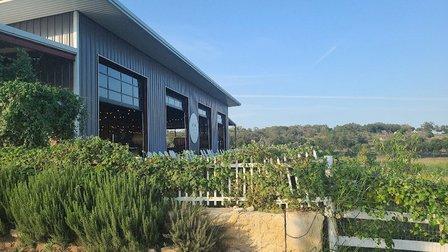Grapetown Vineyard