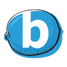 Blue Lime Insurance Group, LLC