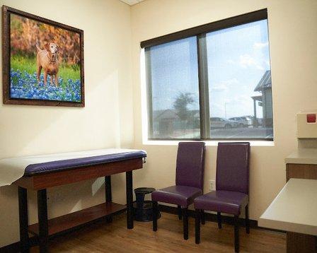 Bluebonnet Pediatrics | New Braunfels | Dr. Melissa A. Garcia