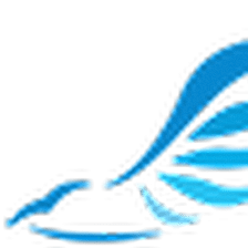 Falcon Insurance Services Inc