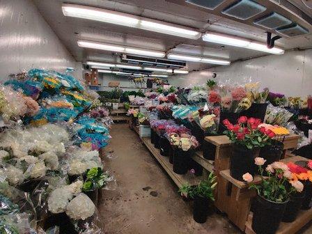 San Antonio Flower Co