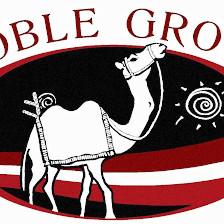 Andrew Punch, Texas Realtor | Noble Group Realty