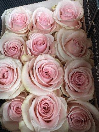 Amores Flores, Inc