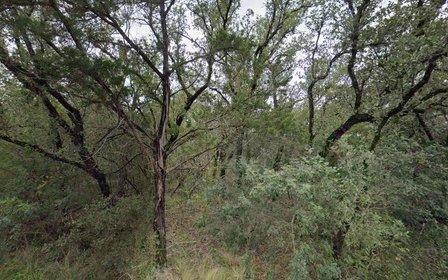 Texas Ash Garage
