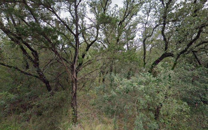 Texas Ash Garage