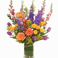 Fantastic Flowers