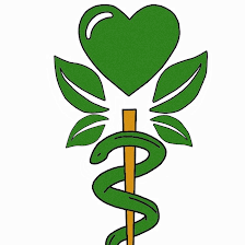 Dina X. Goytia-Leos, MD, PLLC