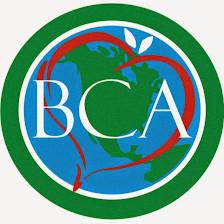 Bilingual Child Academy