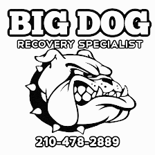 Big Dog Towing and Recovery