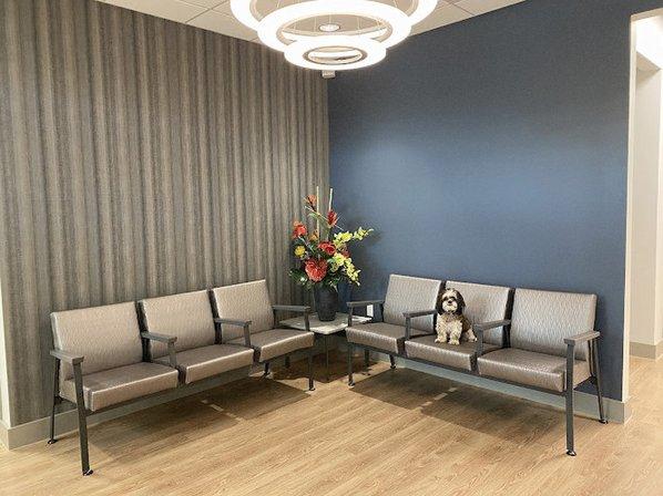 Sharon K Sra MD