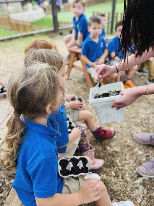 The Pineapple School - Camp Bullis