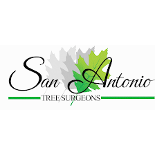 San Antonio Tree Surgeons - Tree Service