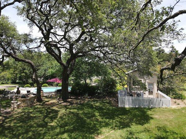 San Antonio Tree Surgeons - Tree Service