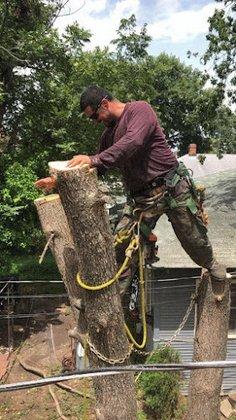 Dream Outdoor Services