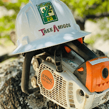 Tree Amigos Tree Service