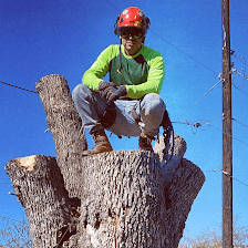 OCS Tree Service
