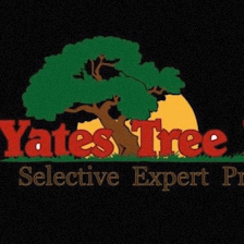 Yates Tree Inc.