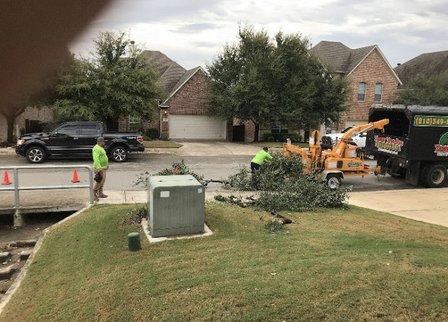 Yates Tree Inc.