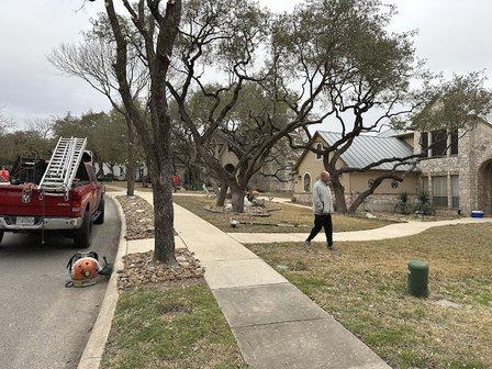 Luna's Tree Service