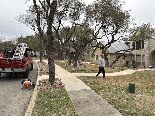 Luna's Tree Service