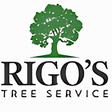 Rigo's Tree Service