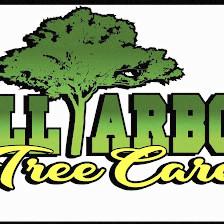 All Arbor Tree Trimming San Antonio