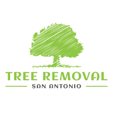 Tree Removal San Antonio