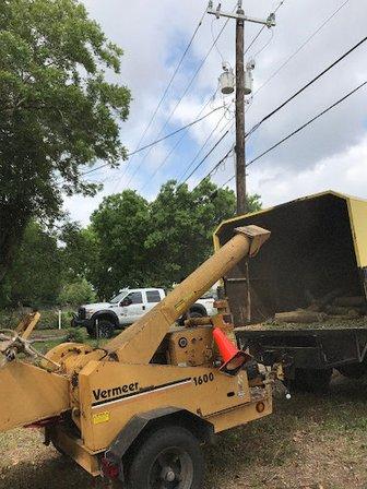 Torres Tree Services