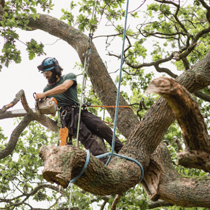 San Antonio Tree and Brush Removal