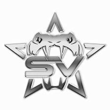 Stars Vipers Cheer & Tumbling