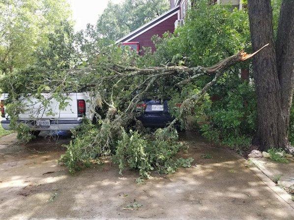 Triple J Tree Service/Your Quality Tree Service In San Antonio/20+Years In The Industry