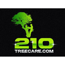 210 Tree Care