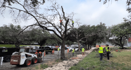 210 Tree Care