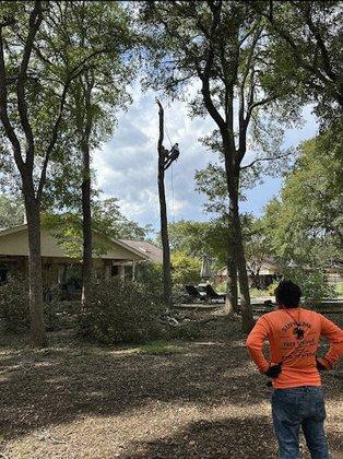 Supreme Tree Service