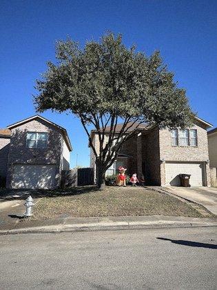 WeCare Tree Care LLC
