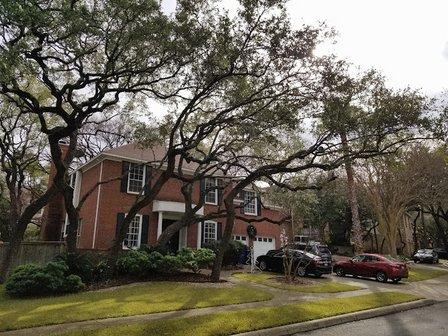 Expertise Tree Service