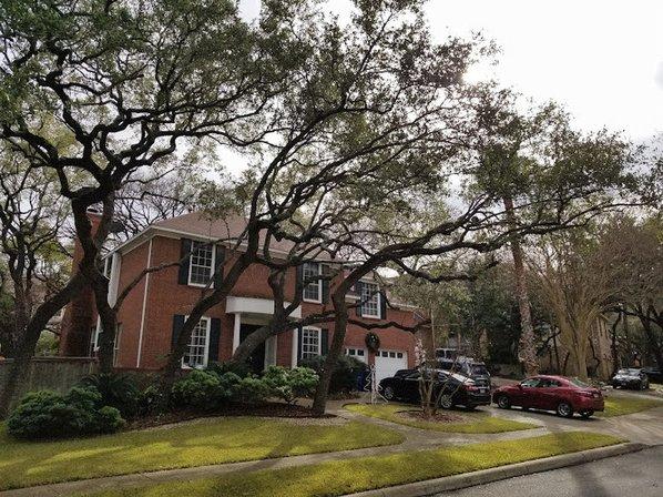 Expertise Tree Service