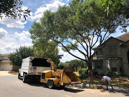 J J Tree Services LLC
