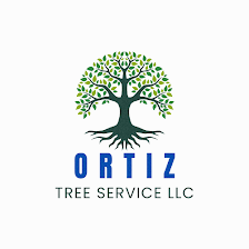 Ortiz Tree Service LLC