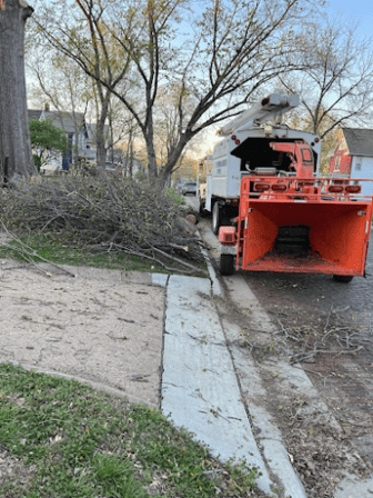 Ortiz Tree Service LLC