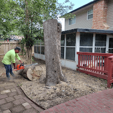 Ramirez's Tree Service