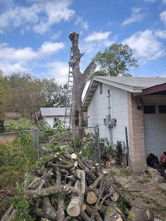 Ramirez's Tree Service