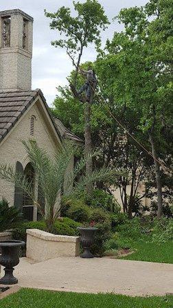 Abel's Lawn and Tree Service